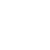 digitalSTROM digitalSTROM