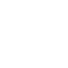 X-House smart home
