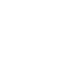 AiDot