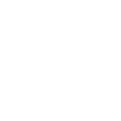 Human United By Porall