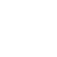 Brilliant Nexus