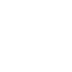 SL-BUS Technology