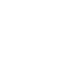 Wemo Outdoor Plug